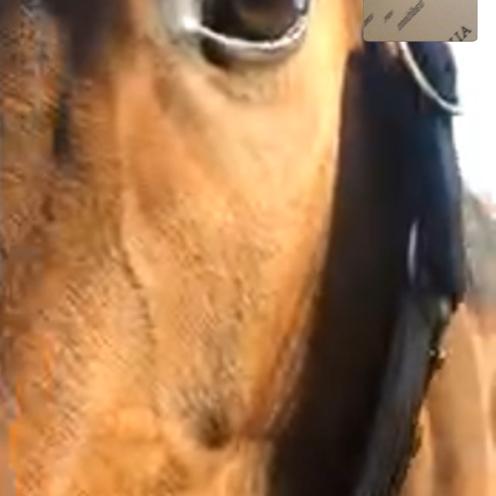 Meet your Posher, Aarlene